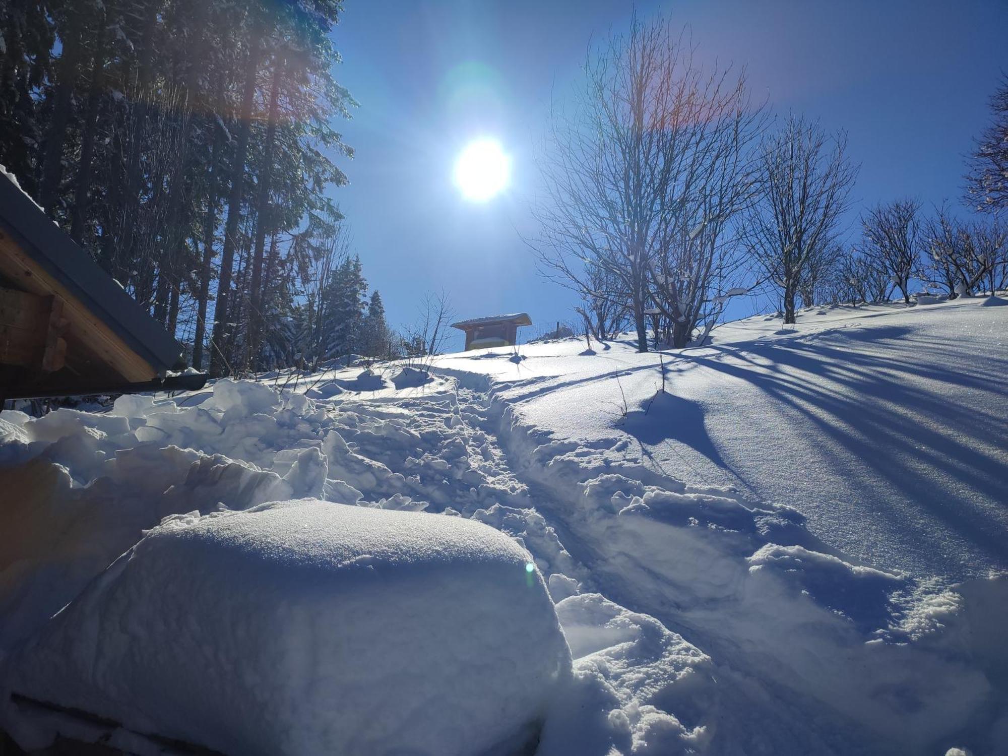 Nature Living Koralm - Neue Chalets Auf Der Koralpe Im Schi- Und Wanderparadies سانكت ستيفان المظهر الخارجي الصورة